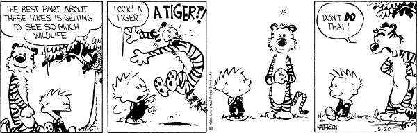 Casper & Hobbes