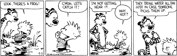 Casper & Hobbes