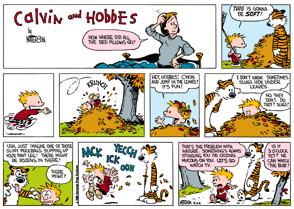 Casper & Hobbes