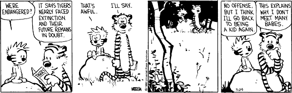 Casper & Hobbes