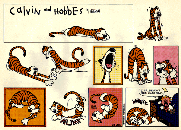 Casper & Hobbes