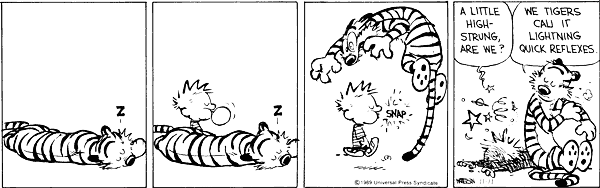 Casper & Hobbes