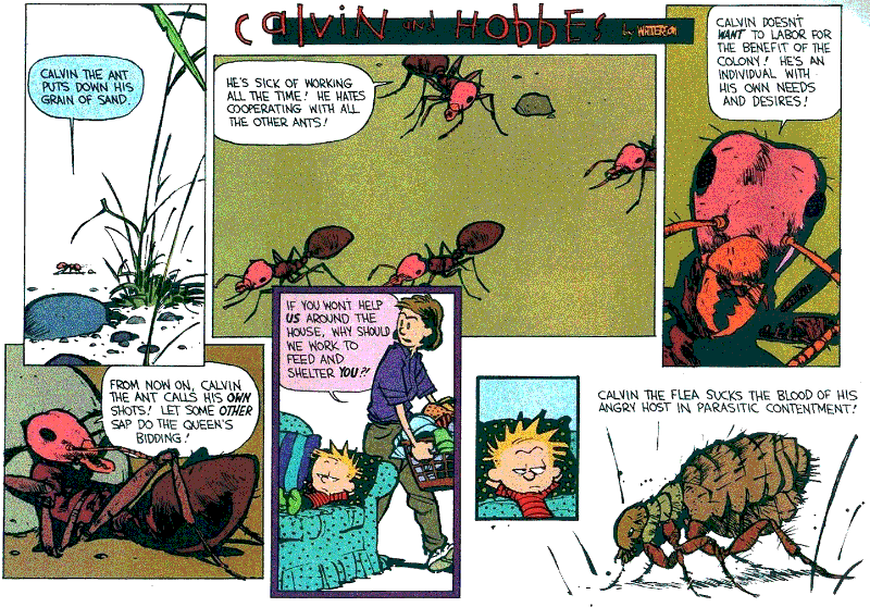 Casper & Hobbes