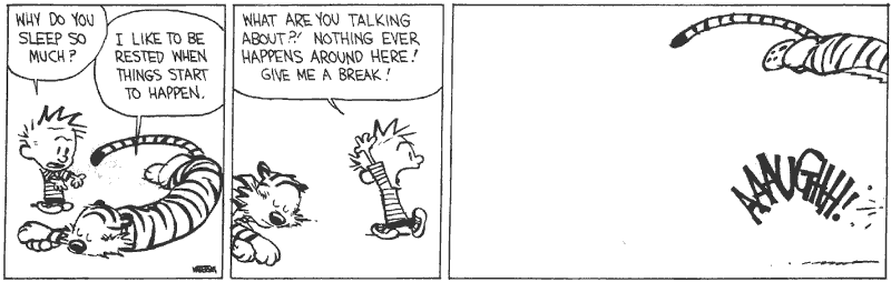 Casper & Hobbes