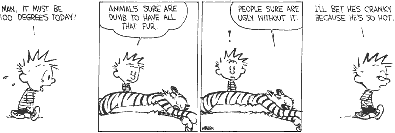 Casper & Hobbes