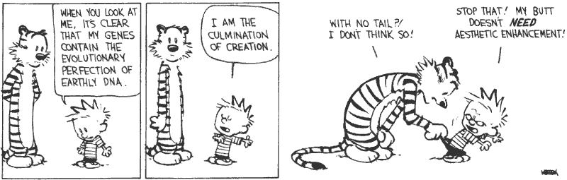 Casper & Hobbes