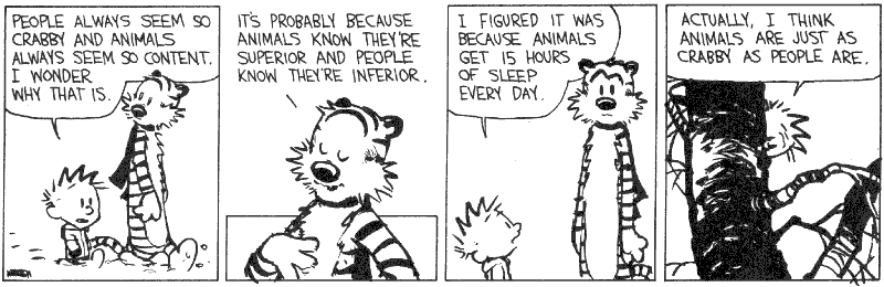 Casper & Hobbes
