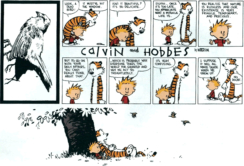 Casper & Hobbes