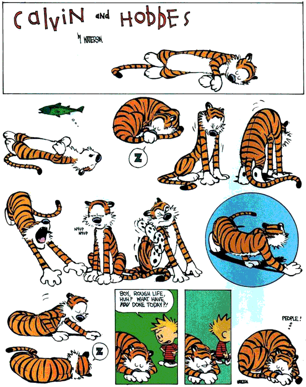 Casper & Hobbes